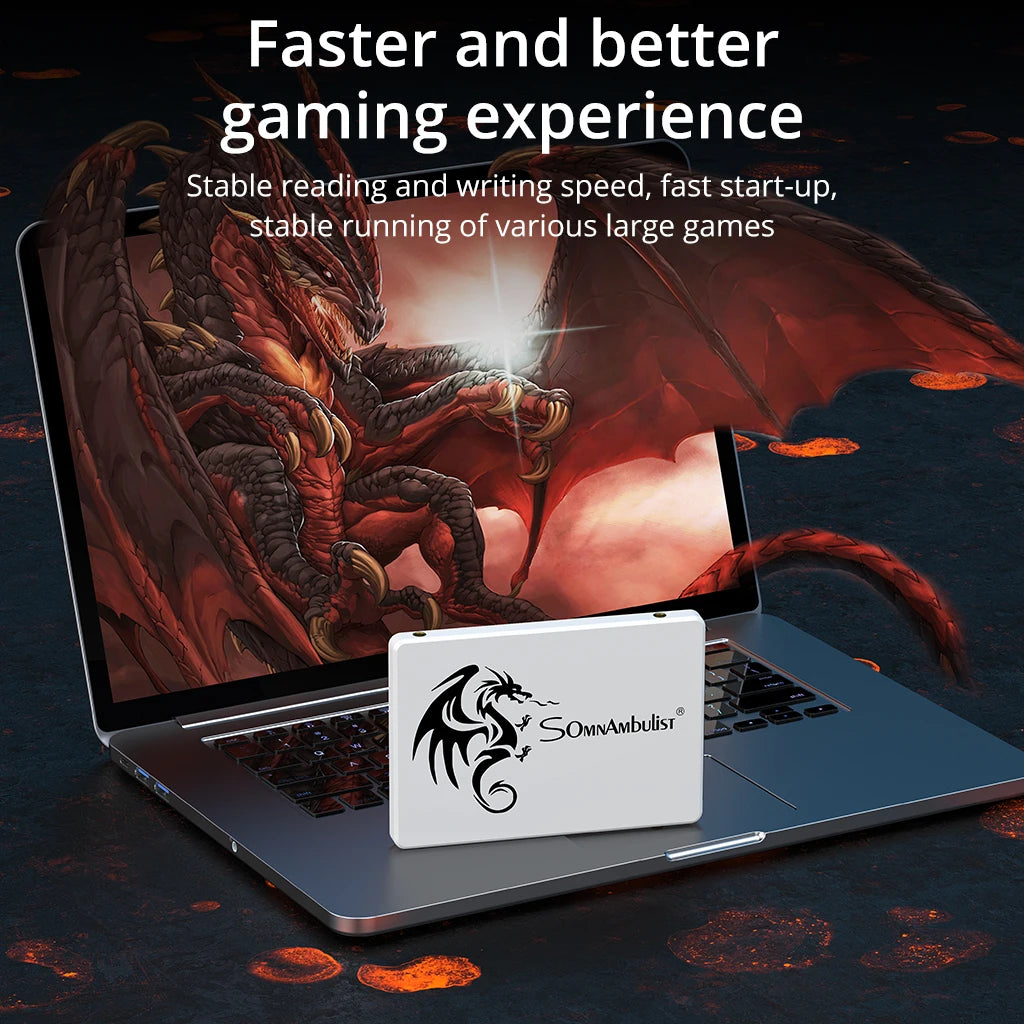 Laptop Desktop Solid State Drive Sata3