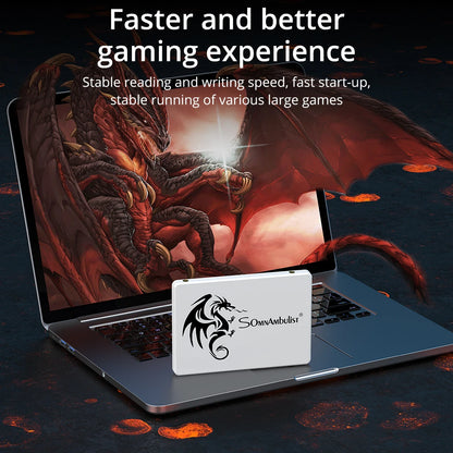 Laptop Desktop Solid State Drive Sata3